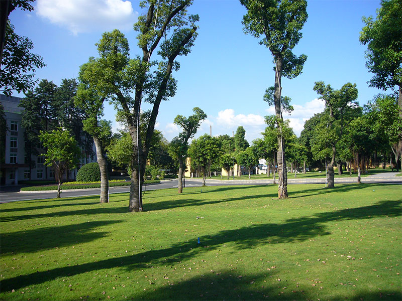 恭喜重慶賽騰自動(dòng)化儀表有限公司網(wǎng)站上線(xiàn)！